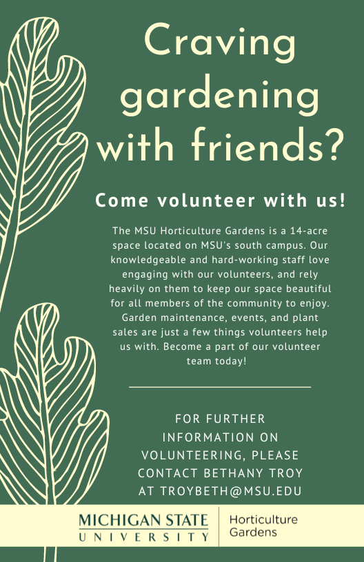 General Volunteer Flyer